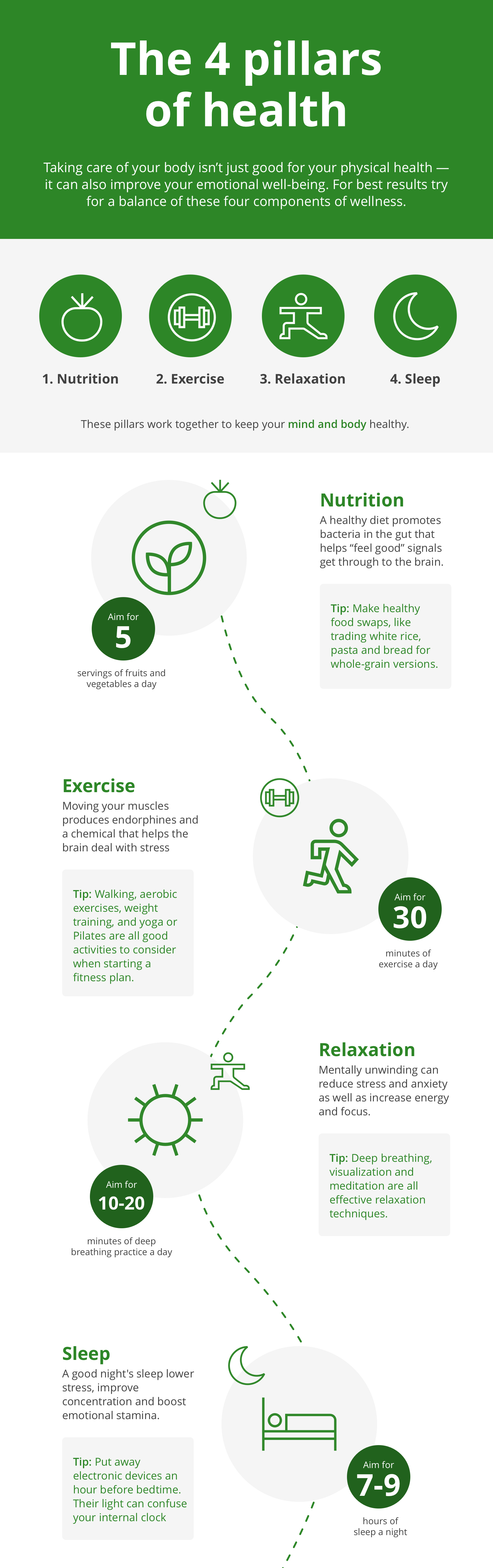 The 4 Pilliars of Health infographic